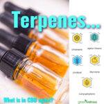 What are the different medicinal benefits of terpenes?